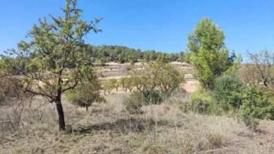 Rustic finca on Ctra S/N photo 8