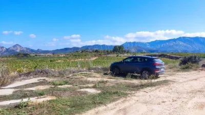 Rustic finca on Ctra S/N photo 9