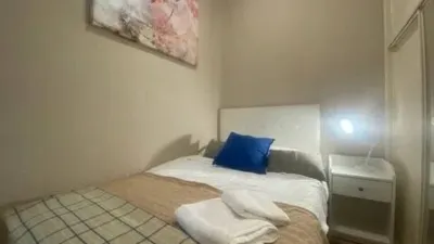 Piso en alquiler en Calle de Ponzano, cerca de Calle de José Abascal - Imagen 16