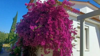 House in Castilblanco de los Arroyos photo 39
