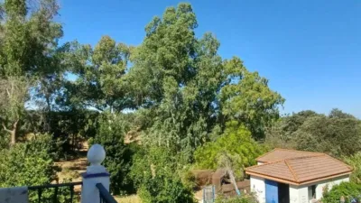 House in Castilblanco de los Arroyos photo 61