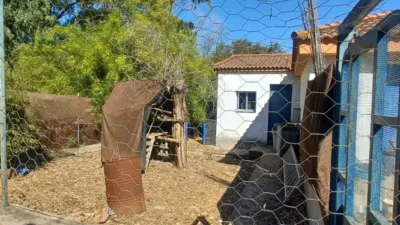 House in Castilblanco de los Arroyos photo 62