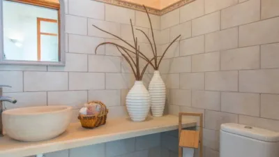 House in Felanitx photo 15