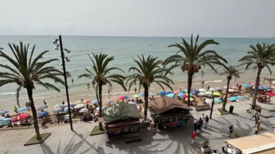 Pis – Torrevieja - Vista 4