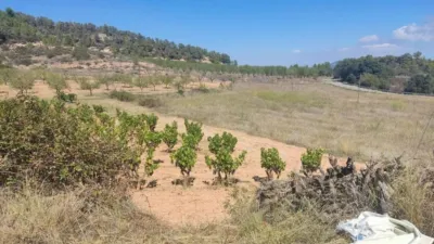 Rustic property on Carretera Horta S/N photo 5
