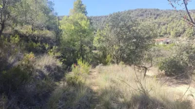 Rustic property on Carretera Horta S/N photo 7