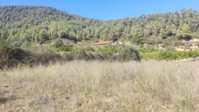 Rustic property on Carretera Horta S/N photo 8