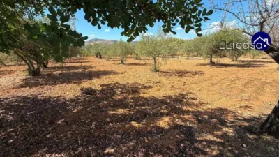 Casa en venta en Buñol, Buñol de 269.900 €