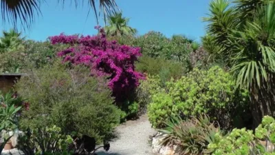 Casa en venta en Maria de La Salut, Maria de la Salut de 4.600.000 €