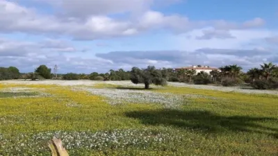 Casa en venta en Maria de La Salut, Maria de la Salut de 4.600.000 €