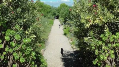 Casa en venta en Maria de La Salut, Maria de la Salut de 4.600.000 €