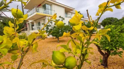 Casa en L'Albir photo 79