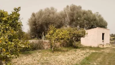 House in Felanitx photo 19