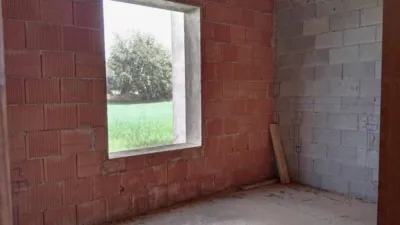 House in Felanitx photo 7