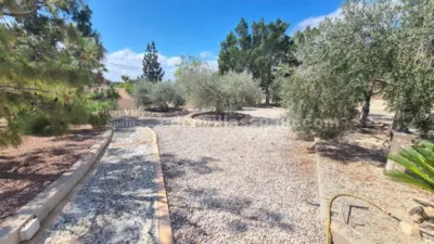 House in Crevillent photo 17