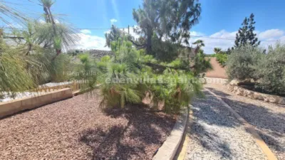 House in Crevillent photo 27