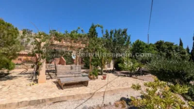 House in Crevillent photo 30