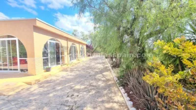 House in Crevillent photo 36