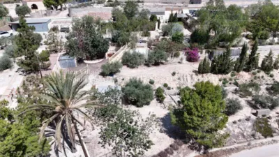 House in Crevillent photo 79