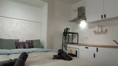 Piso en alquiler en Embajadores-Lavapiés - Imagen 33