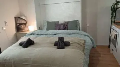 Piso en alquiler en Embajadores-Lavapiés - Imagen 9