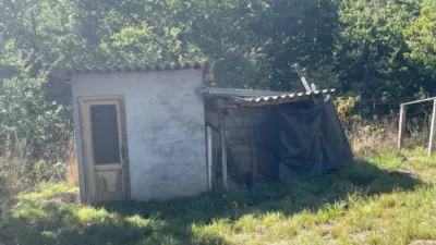 Rustic property in Lama Grande (Cartelle) photo 12