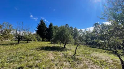 Rustic property in Lama Grande (Cartelle) photo 14