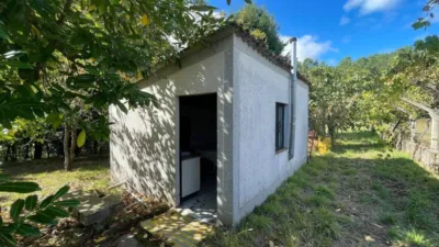 Rustic property in Lama Grande (Cartelle) photo 2