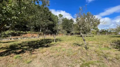 Rustic property in Lama Grande (Cartelle) photo 4