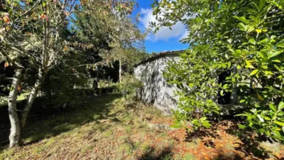 Rustic property in Lama Grande (Cartelle) photo 5