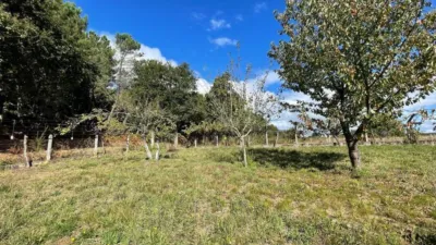 Rustic property in Lama Grande (Cartelle) photo 9