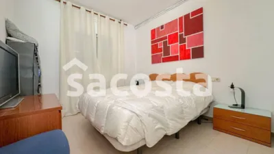 Apartment in Els Pavos photo 16
