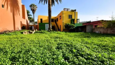 House in Tacoronte photo 3