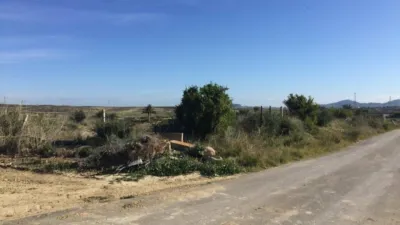 Rustic house in La Perulaca photo 3
