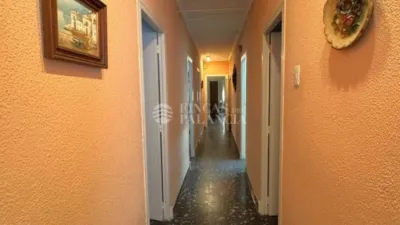 Apartment in Patraix photo 12