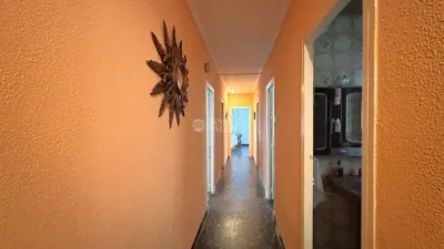 Apartment in Patraix photo 27