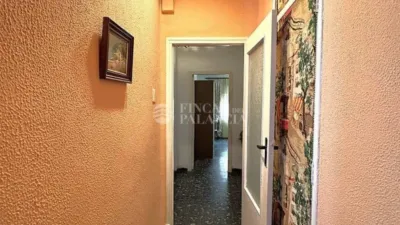 Apartment in Patraix photo 28