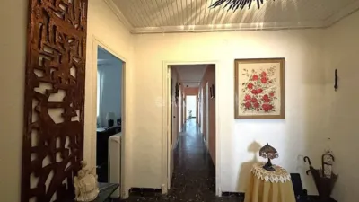 Apartment in Patraix photo 41