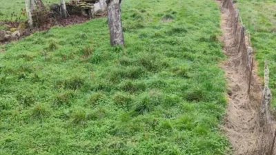 Rustic house in Esgos (Capital) photo 10