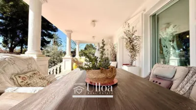 House in Sol y Luz photo 12