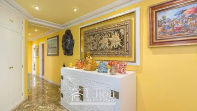 House in Sol y Luz photo 16