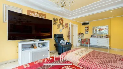 House in Sol y Luz photo 18