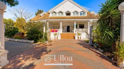 House in Sol y Luz photo 2