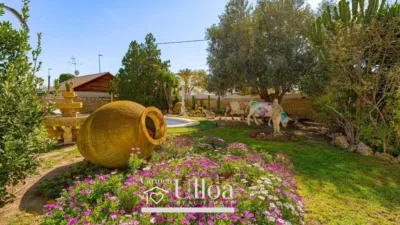 House in Sol y Luz photo 35