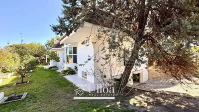 House in Sol y Luz photo 37