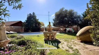 House in Sol y Luz photo 55