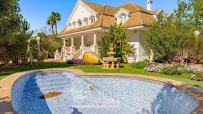 House in Sol y Luz photo 59