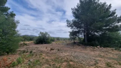 Rustic house in L'Ametlla de Mar photo 5