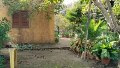 House in Felanitx photo 10