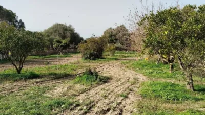 House in Felanitx photo 13